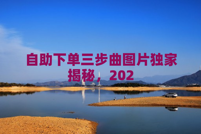 自助下单三步曲图片独家揭秘，2025必学轻松自助下单！