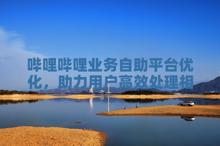 哔哩哔哩业务自助平台优化，助力用户高效处理相关事务。