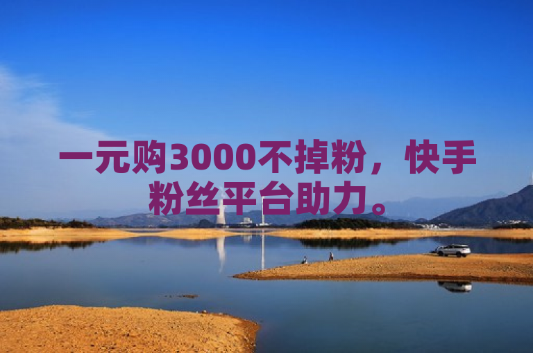 一元购3000不掉粉，快手粉丝平台助力。