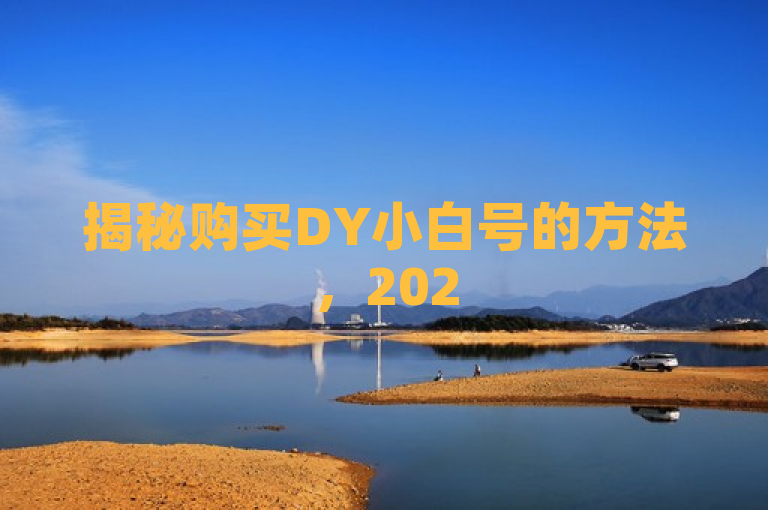 揭秘购买DY小白号的方法，2025必学详细指南！