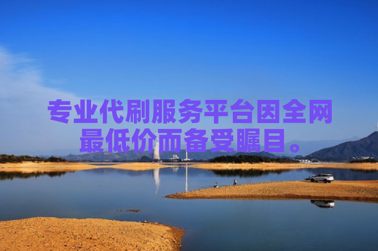 专业代刷服务平台因全网最低价而备受瞩目。