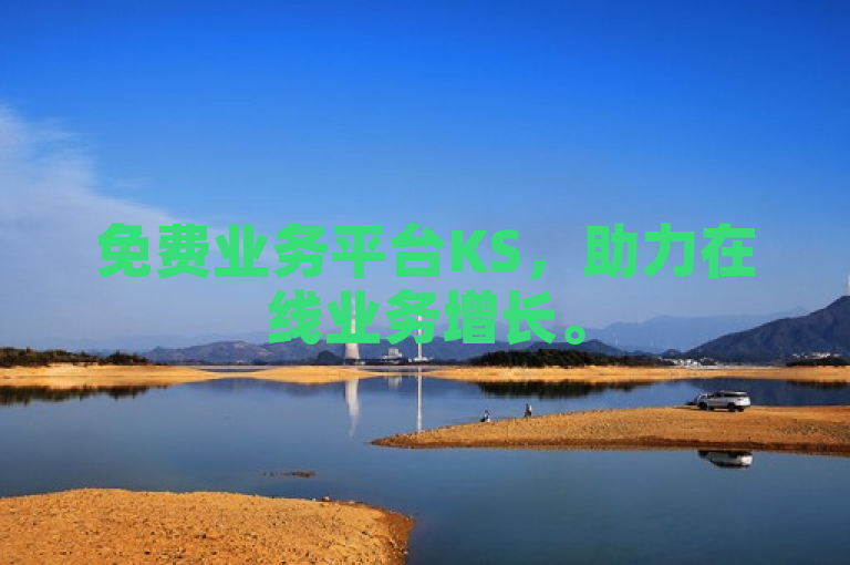 免费业务平台KS，助力在线业务增长。