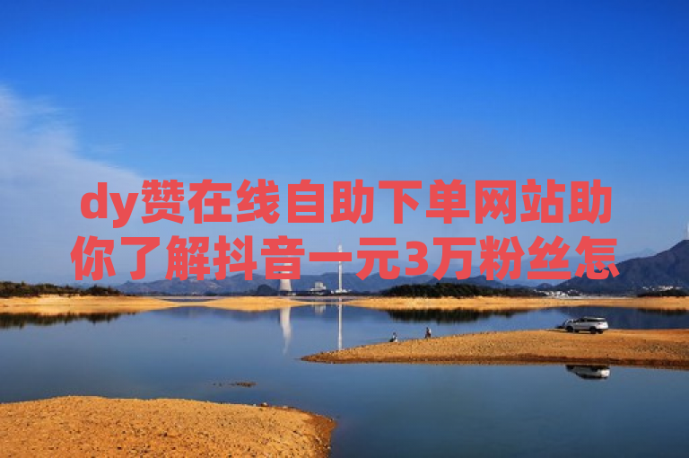 dy赞在线自助下单网站助你了解抖音一元3万粉丝怎么弄。