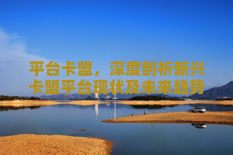 平台卡盟，深度剖析新兴卡盟平台现状及未来趋势。