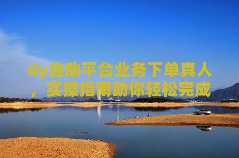 dy自助平台业务下单真人，实操指南助你轻松完成下单。