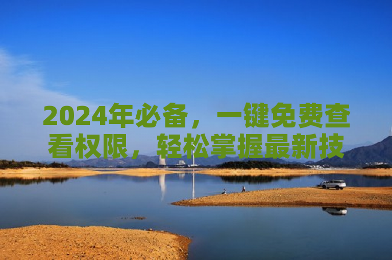 2024年必备，一键免费查看权限，轻松掌握最新技巧！