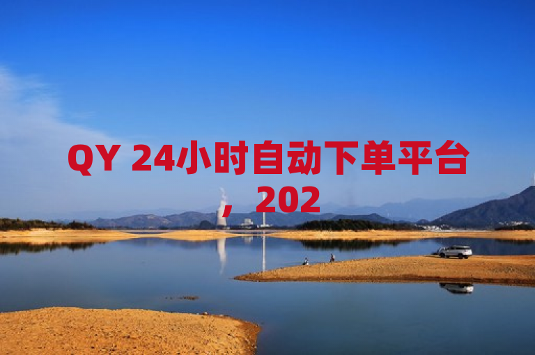 QY 24小时自动下单平台，2025必备技能揭秘！