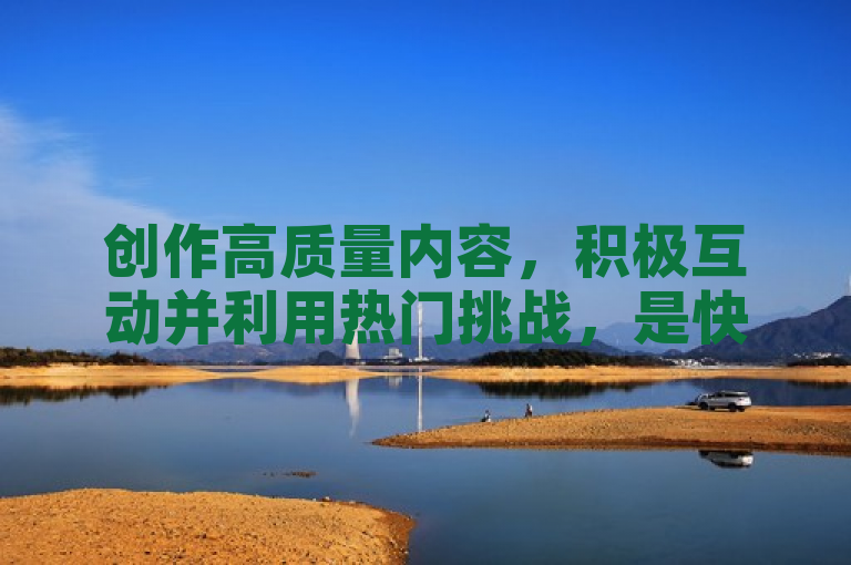 创作高质量内容，积极互动并利用热门挑战，是快速增加抖音粉丝的有效策略。