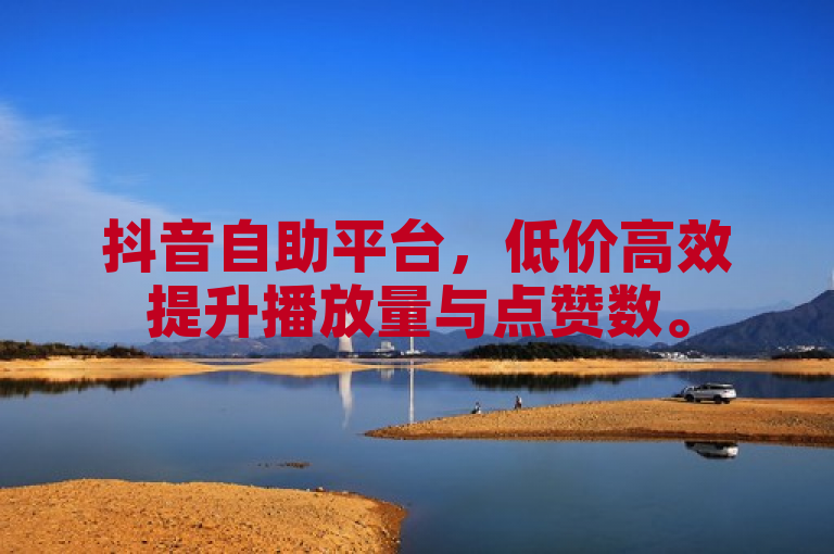 抖音自助平台，低价高效提升播放量与点赞数。