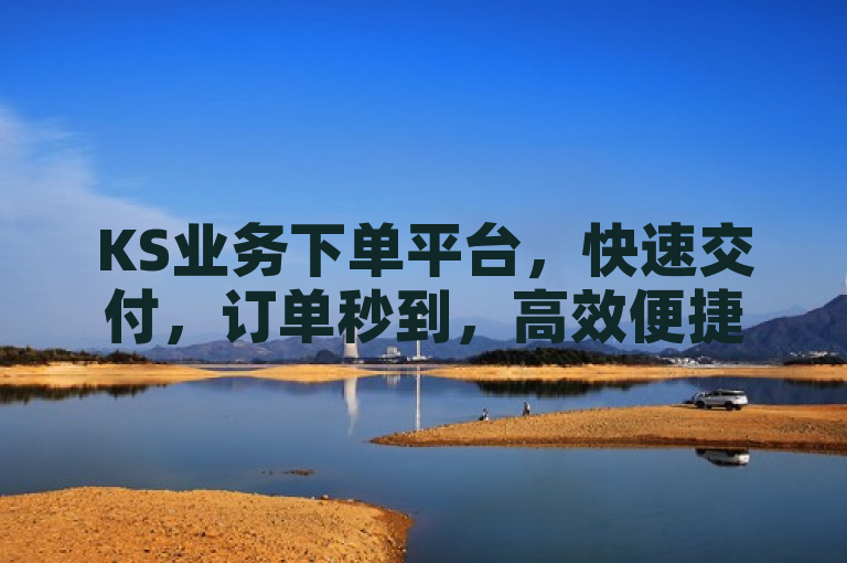 KS业务下单平台，快速交付，订单秒到，高效便捷！