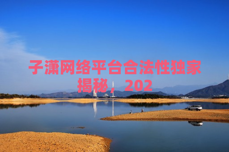 子潇网络平台合法性独家揭秘，2025必学关键探讨！
