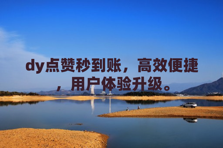 dy点赞秒到账，高效便捷，用户体验升级。