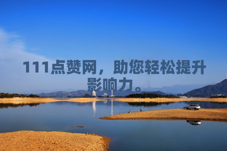 111点赞网，助您轻松提升影响力。