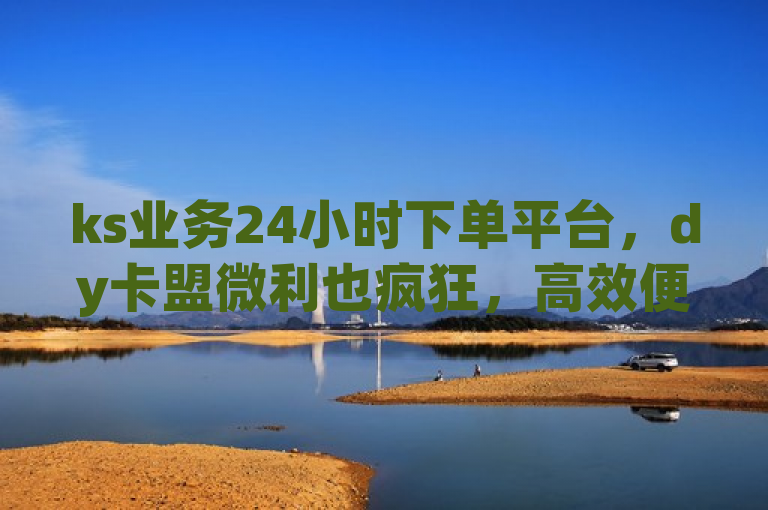 ks业务24小时下单平台，dy卡盟微利也疯狂，高效便捷服务赢好评。