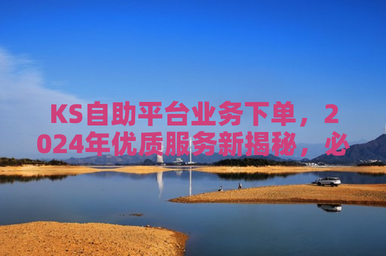 KS自助平台业务下单，2024年优质服务新揭秘，必学技巧助你轻松应对。
