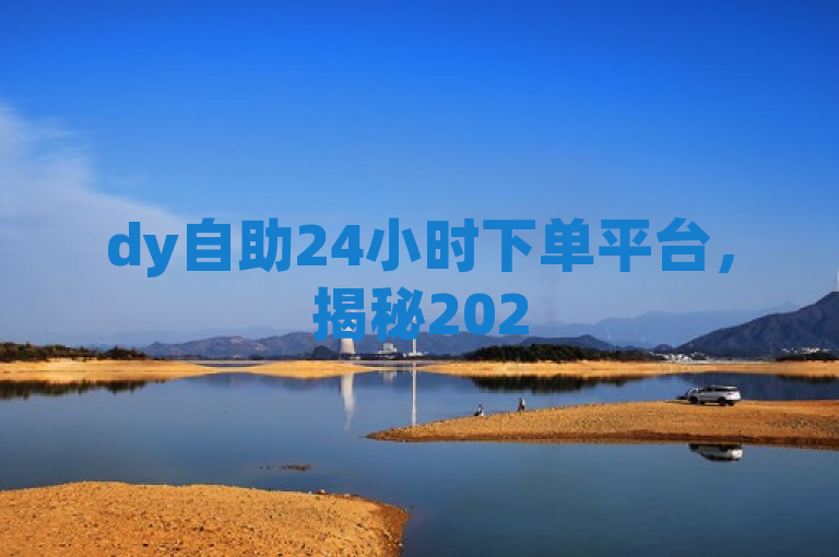 dy自助24小时下单平台，揭秘2025必学优质订购服务！