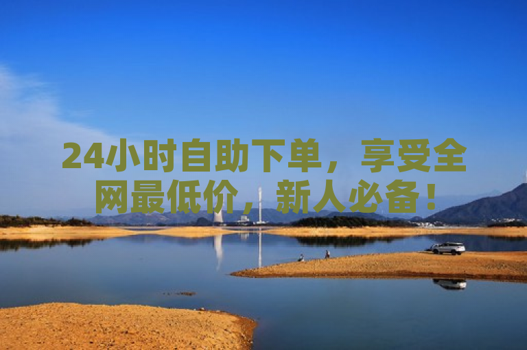 24小时自助下单，享受全网最低价，新人必备！