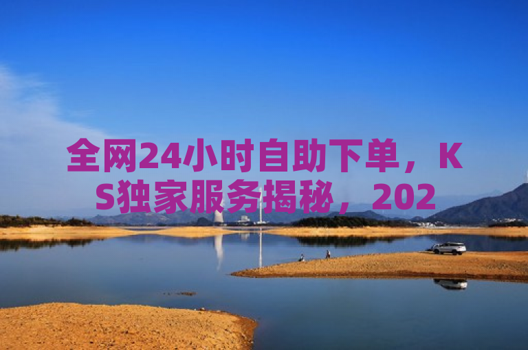 全网24小时自助下单，KS独家服务揭秘，2025必备技能！
