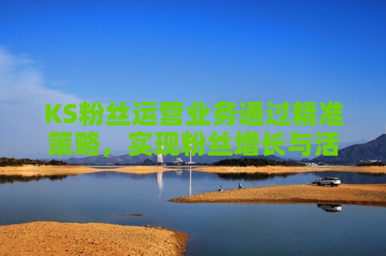 KS粉丝运营业务通过精准策略，实现粉丝增长与活跃度提升。