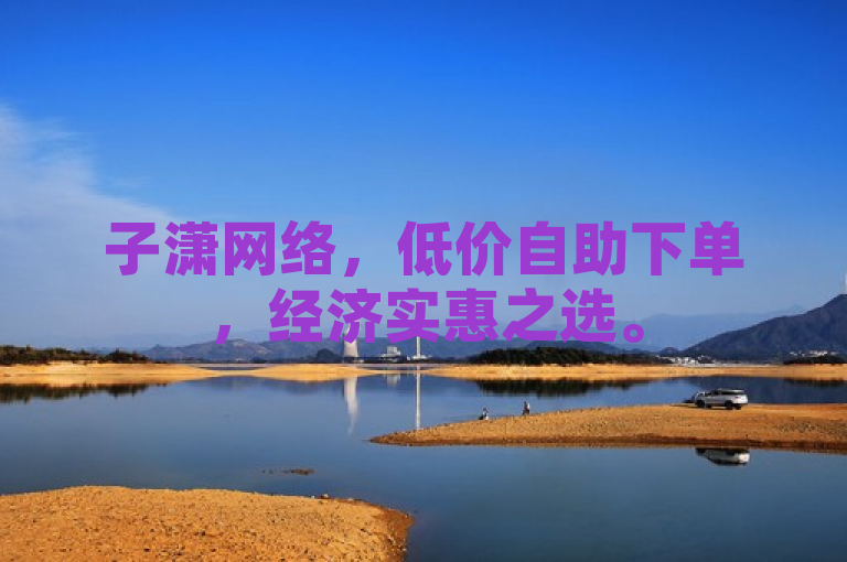 子潇网络，低价自助下单，经济实惠之选。