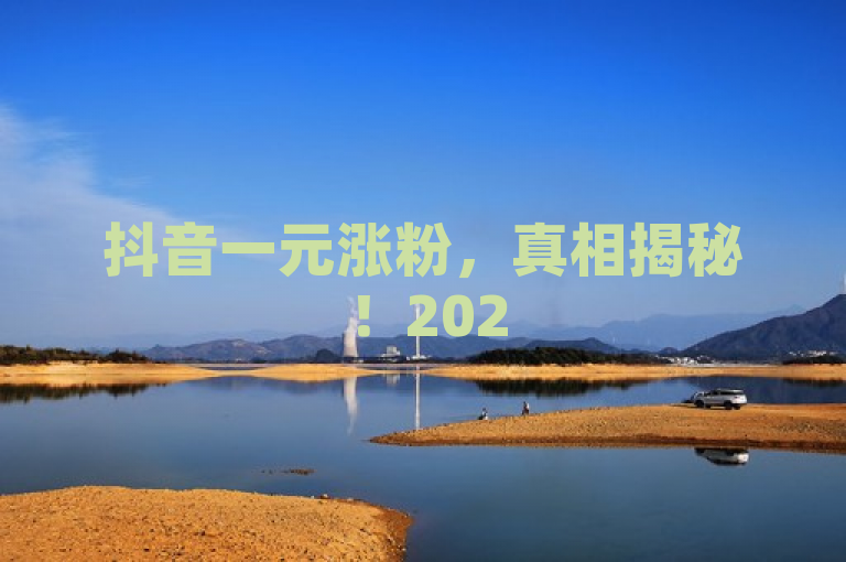 抖音一元涨粉，真相揭秘！2025年必学技巧。