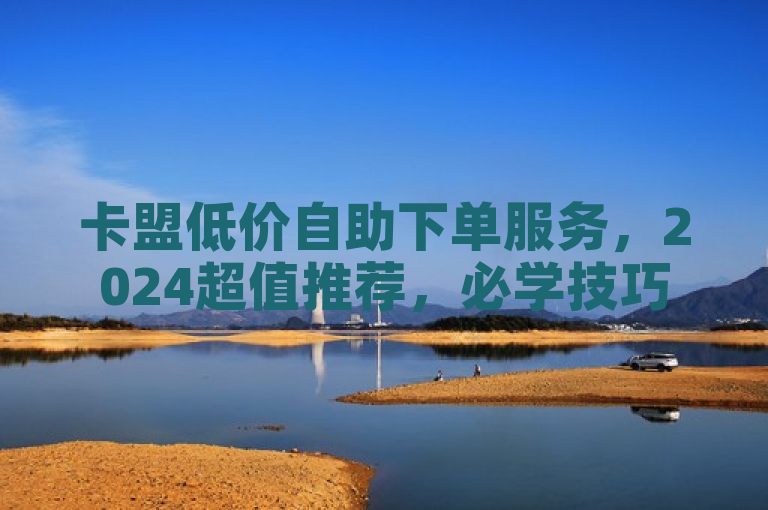 卡盟低价自助下单服务，2024超值推荐，必学技巧揭秘！