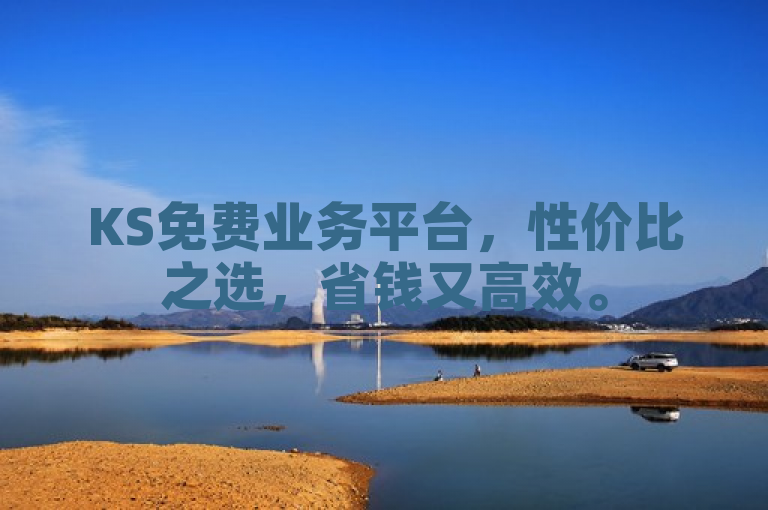 KS免费业务平台，性价比之选，省钱又高效。