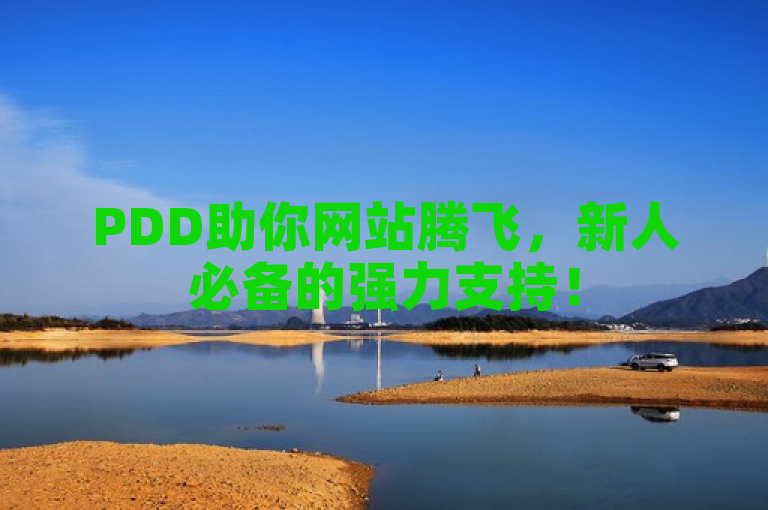PDD助你网站腾飞，新人必备的强力支持！