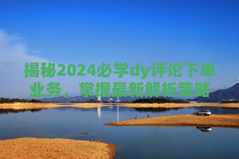 揭秘2024必学dy评论下单业务，掌握最新解析策略！