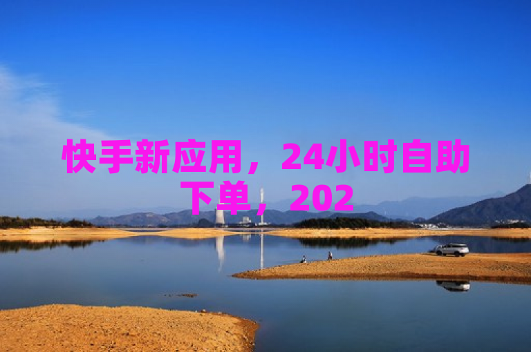 快手新应用，24小时自助下单，2025必备神器。