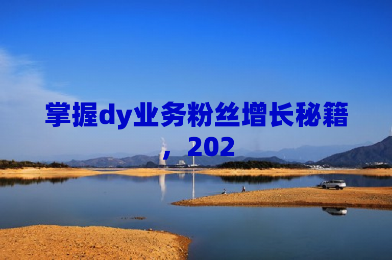 掌握dy业务粉丝增长秘籍，2025必学技巧助你轻松提升影响力！