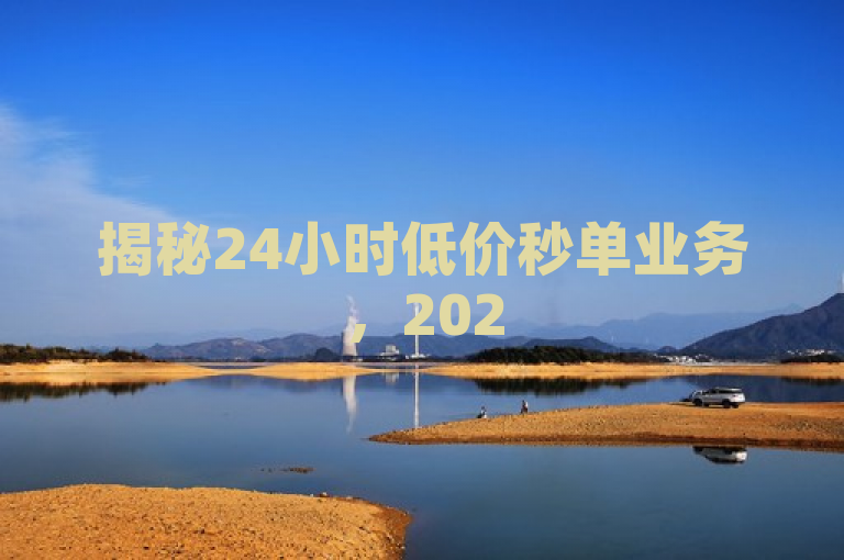 揭秘24小时低价秒单业务，2025必学选择指南！