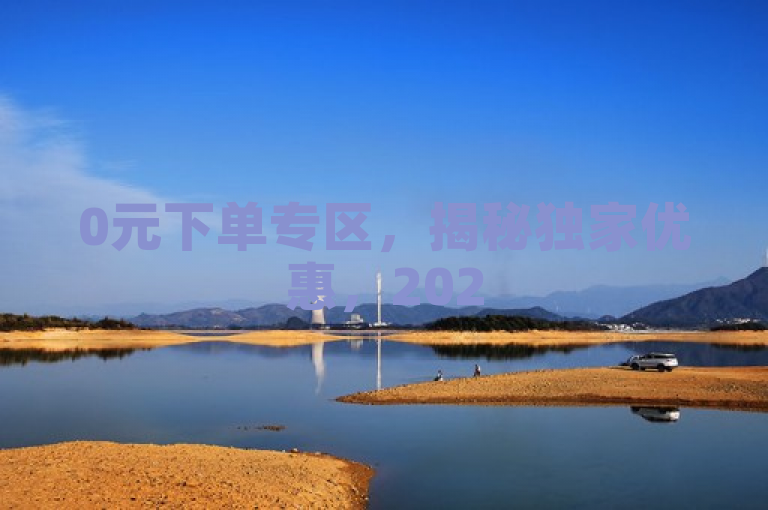 0元下单专区，揭秘独家优惠，2025必学！