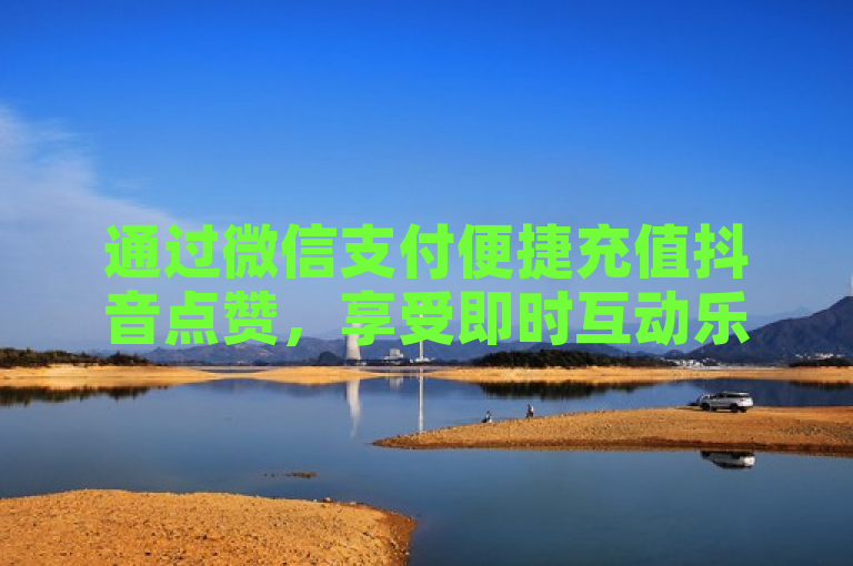 通过微信支付便捷充值抖音点赞，享受即时互动乐趣。