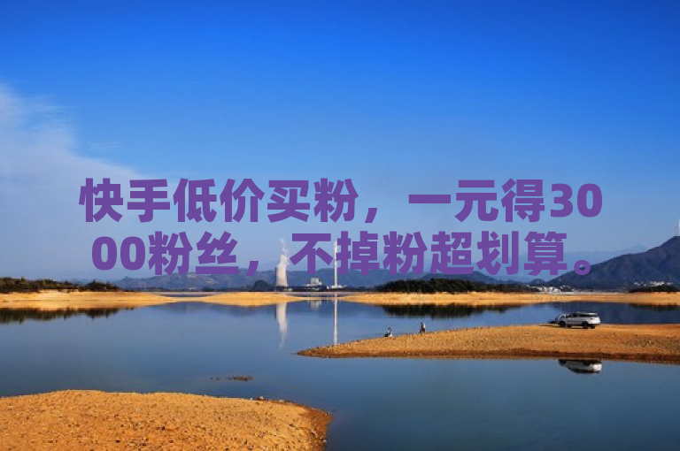 快手低价买粉，一元得3000粉丝，不掉粉超划算。