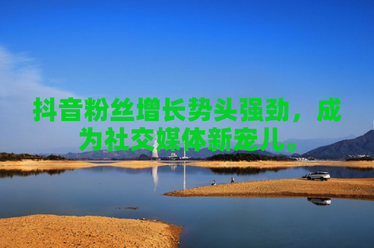 抖音粉丝增长势头强劲，成为社交媒体新宠儿。