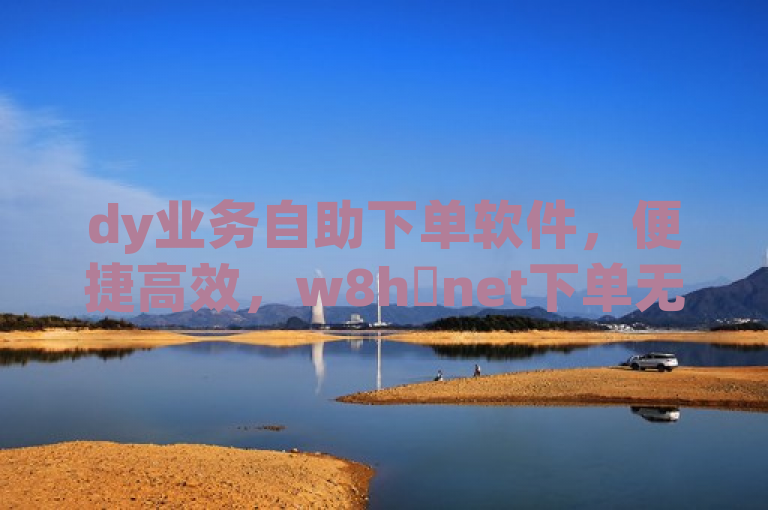 dy业务自助下单软件，便捷高效，w8h敟net下单无忧。