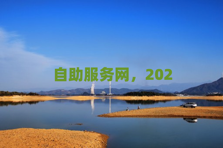 自助服务网，2025必备，简约而强大的在线服务平台！