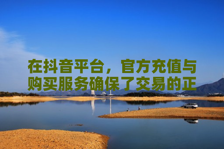 在抖音平台，官方充值与购买服务确保了交易的正规性与安全性。