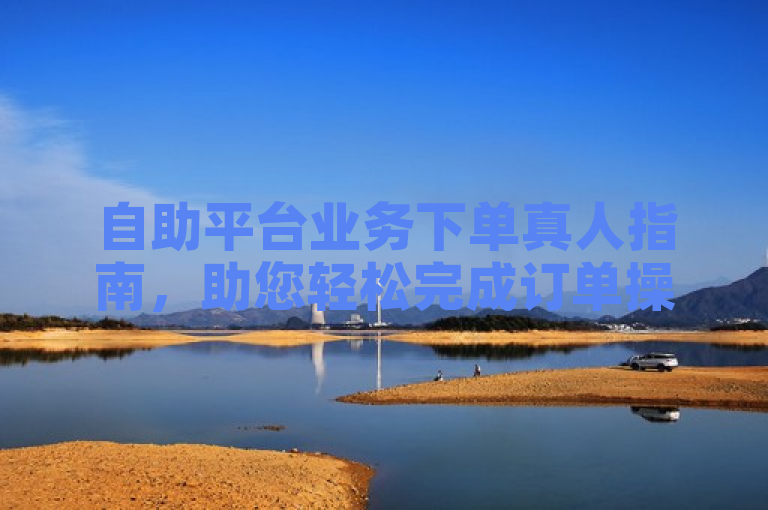 自助平台业务下单真人指南，助您轻松完成订单操作。