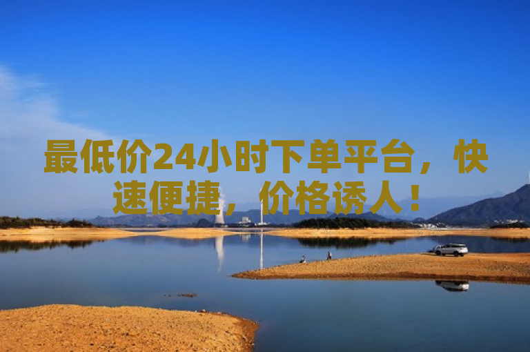 最低价24小时下单平台，快速便捷，价格诱人！