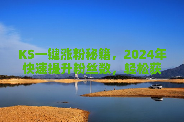 KS一键涨粉秘籍，2024年快速提升粉丝数，轻松获粉！