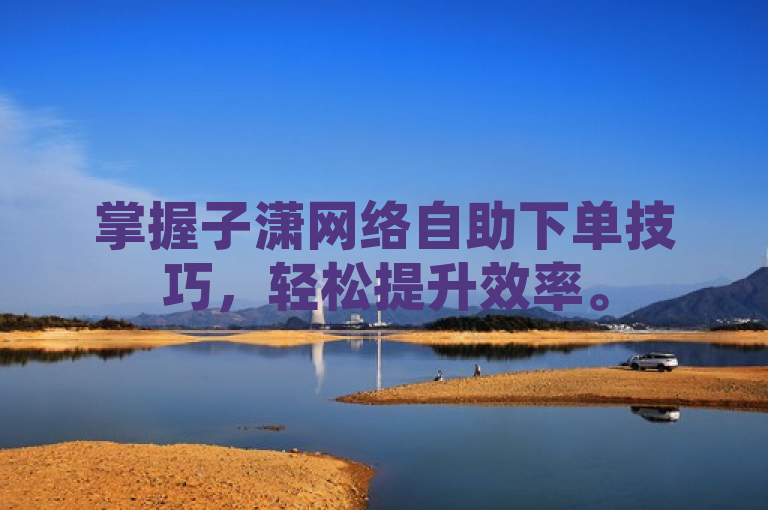 掌握子潇网络自助下单技巧，轻松提升效率。