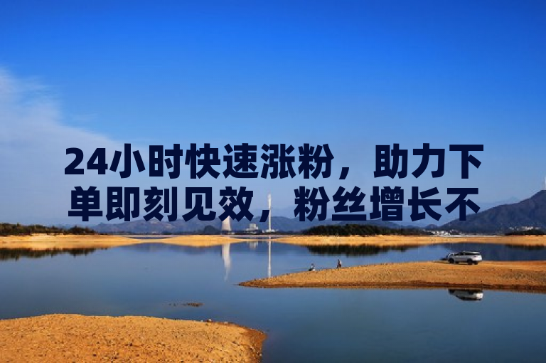 24小时快速涨粉，助力下单即刻见效，粉丝增长不再是难题。