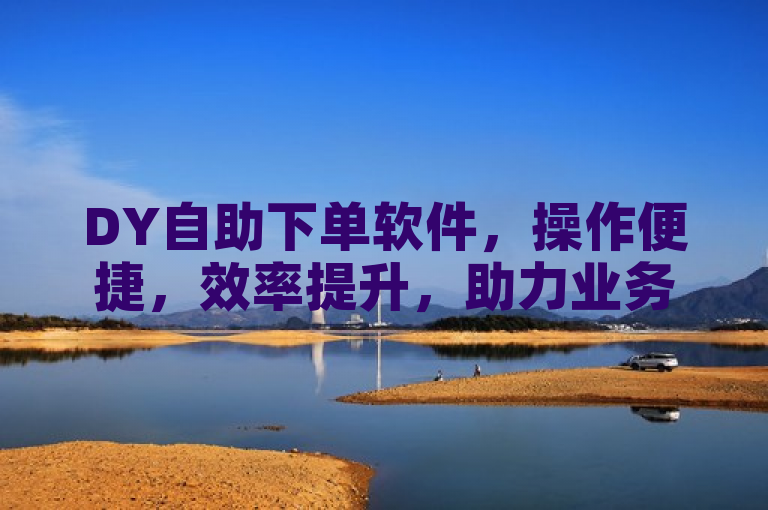 DY自助下单软件，操作便捷，效率提升，助力业务轻松管理。