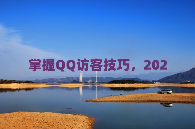 掌握QQ访客技巧，2025年网站流量飙升秘籍！