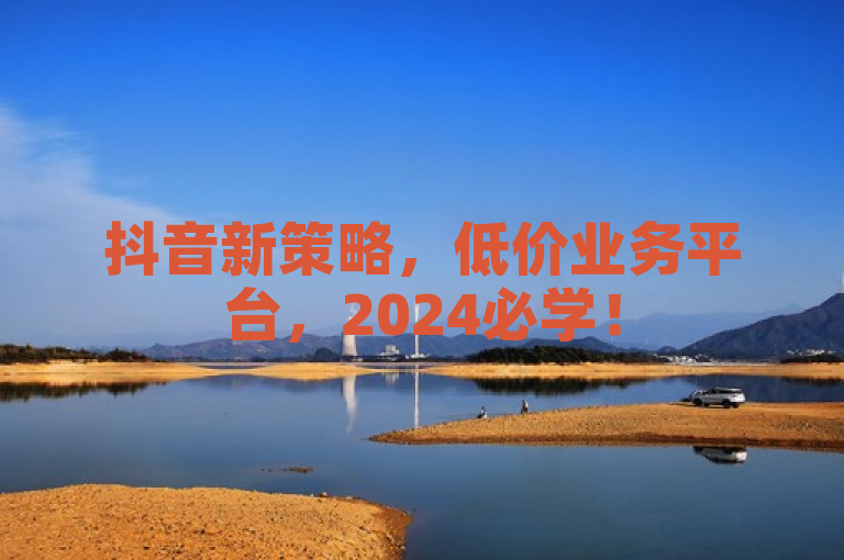 抖音新策略，低价业务平台，2024必学！