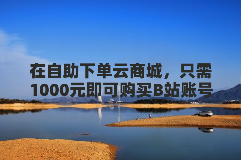 在自助下单云商城，只需1000元即可购买B站账号粉丝，空间赞24小时自助服务。
