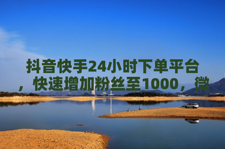 抖音快手24小时下单平台，快速增加粉丝至1000，微信支付便捷高效！