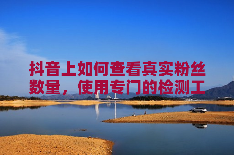 抖音上如何查看真实粉丝数量，使用专门的检测工具即可。
